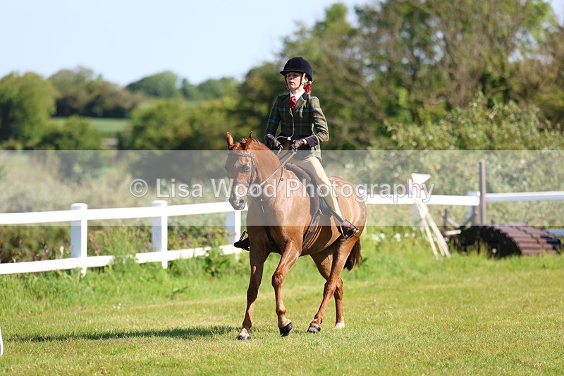 3E7A5985 - Class 27: Novice Working Hunter Pony