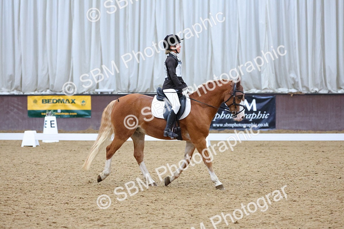 SBM_004209 - Intermediate