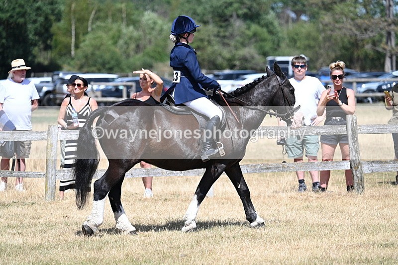 WJ7_3248 - Class 8 Ridden Veterans