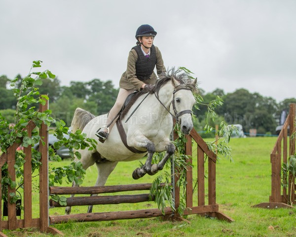 Dunblane show-216 - Dunblane and Doune Show Ring 1