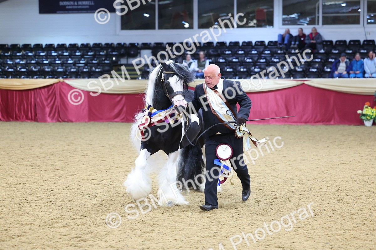 SBM_18665 - Class C Best Turned Out Champ