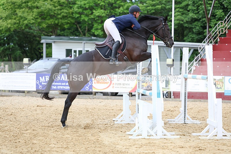 3E7A7524 - Class 8: Senior Foxhunter/1.20 open