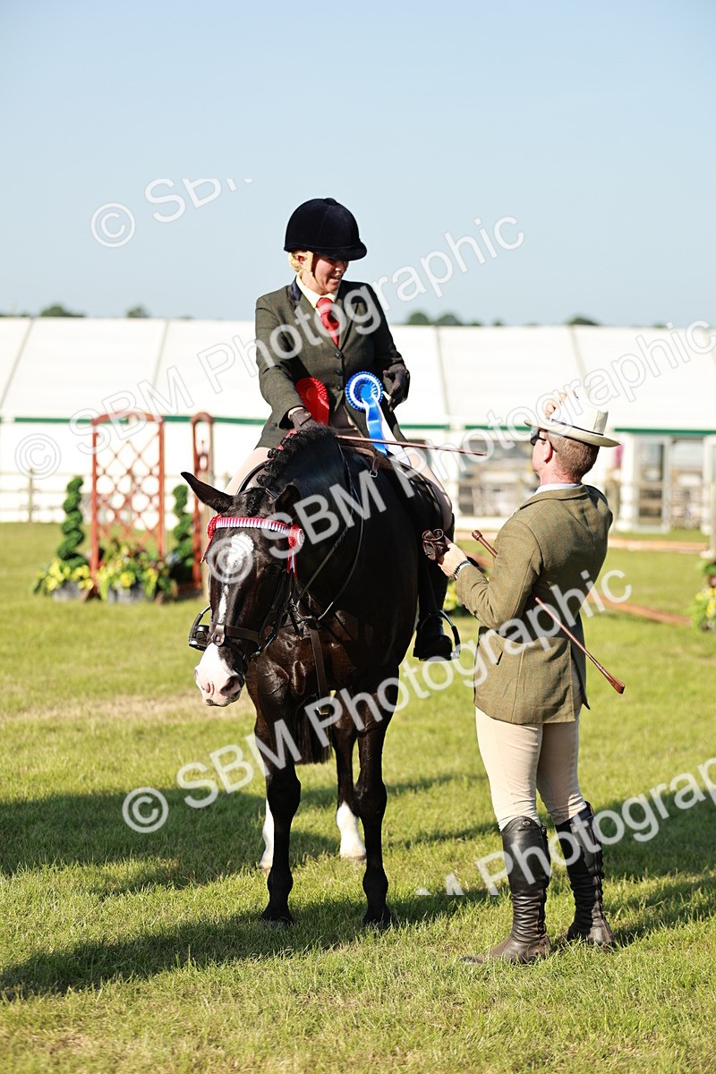 SBM_20126 - Class 115-116 - LIHS BSHA Rising Star Working Hunter & Show Horse