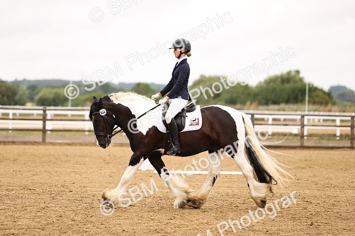 SBM_004041 - Class 7-10 - Novice 2-Elementary 2