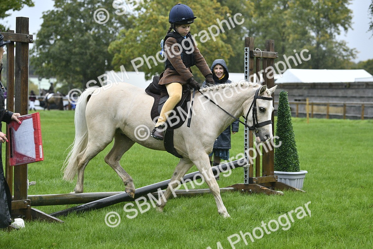 SBM_37154 - S31 - Novice & Newcomer Working Hunter Pony