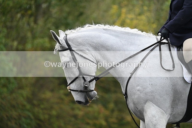 WJ7_2920 - Time 09:00 to 09:35