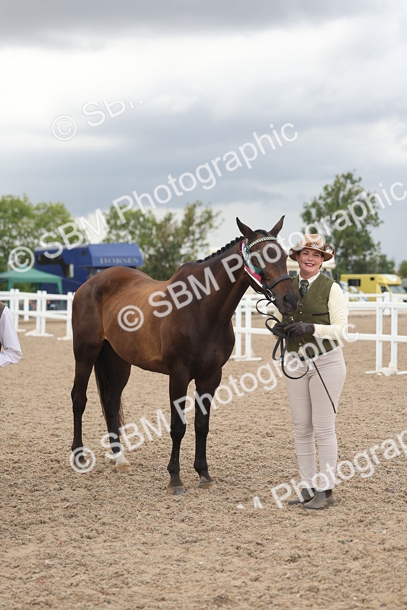 SBM_06934 - Class 25 - IH Foreign Breeds - Purebred