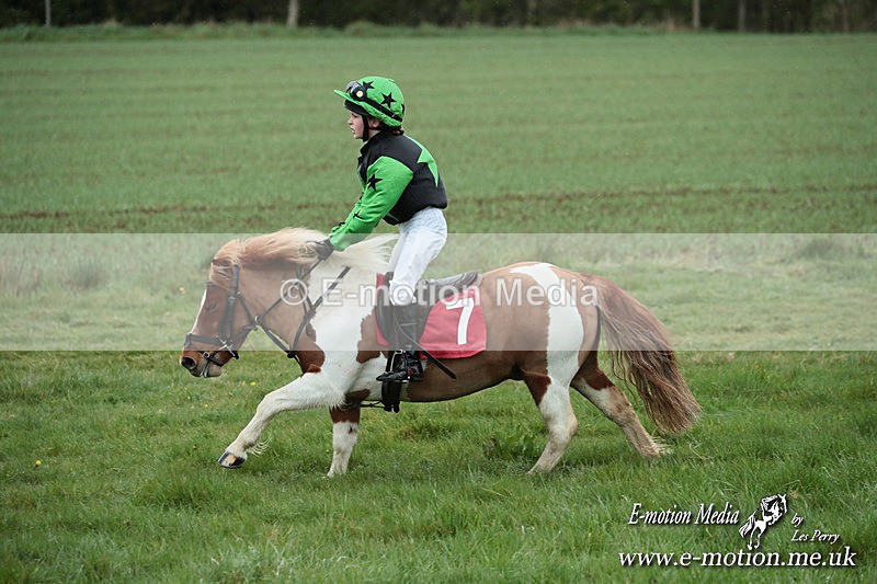 SHETPR 210425 226 - Shetland Ponies Paxford Races 21/04/25