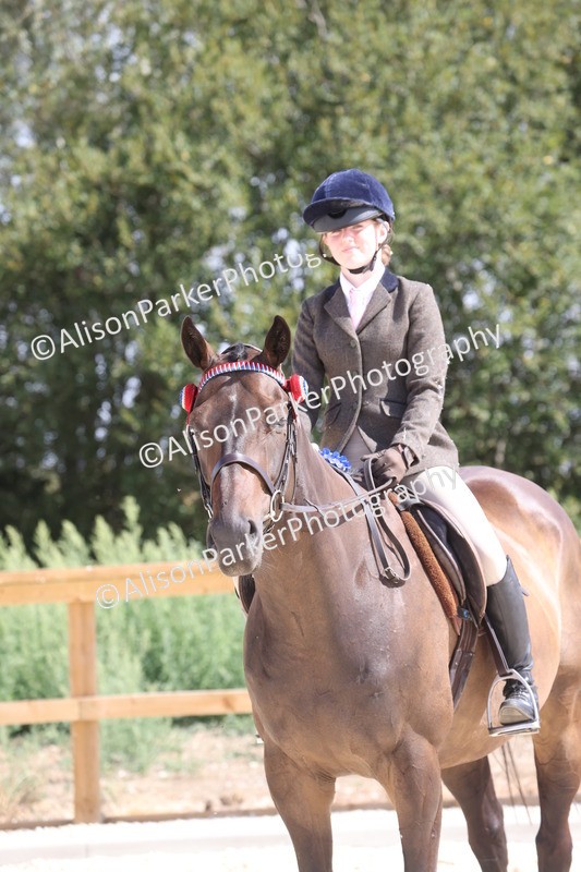 20260802-0746 - Class 8 - Best Riding Horse or Pony