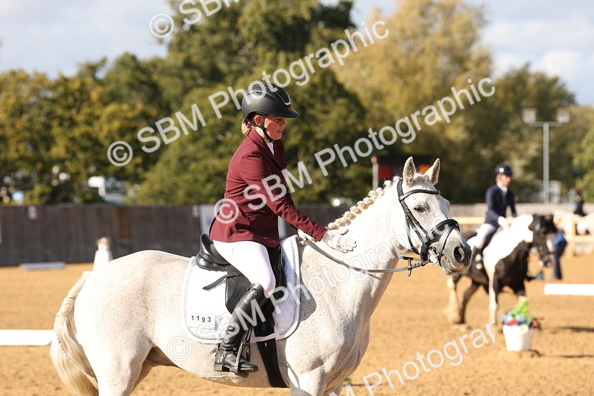 SBM_50481 - D12 - Small Tour Championship prelim 2