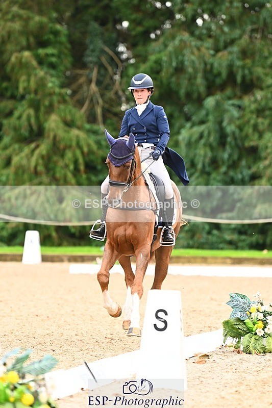 231020-153144-11851 - 213-MGH.HILDARE.HARLEQUIN-Danielle.Mccormack-DR