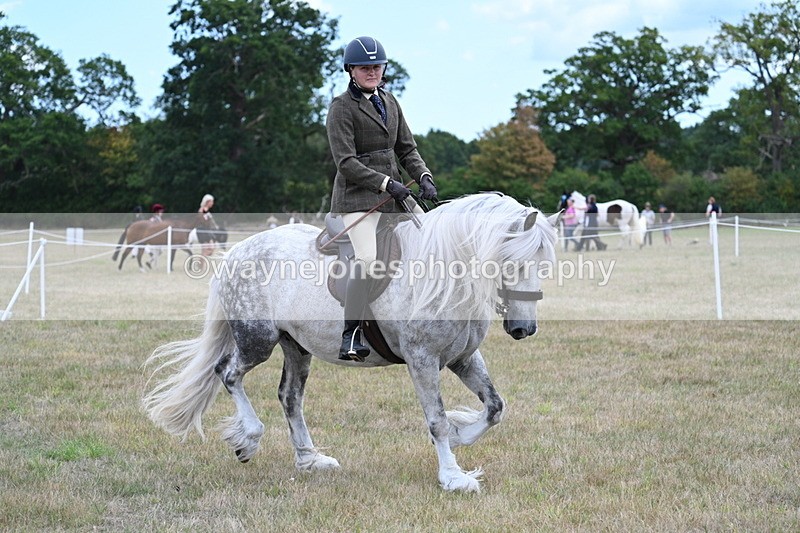 WJ7_4928 - Class 12 Ridden Cob