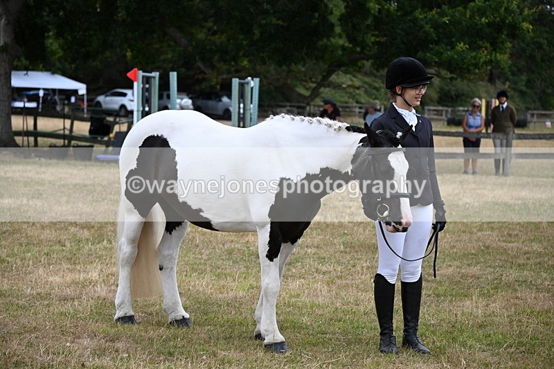 WJ6_4235 - Class 10 Coloured In-hand