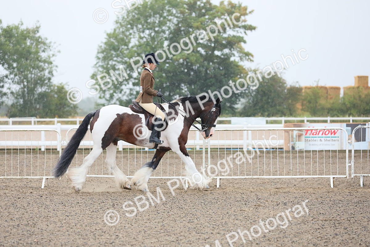 SBM_19853 - Class 801 - Ridden Veteran