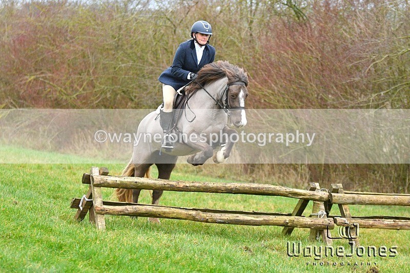 WJ5_5274 - Edited examples