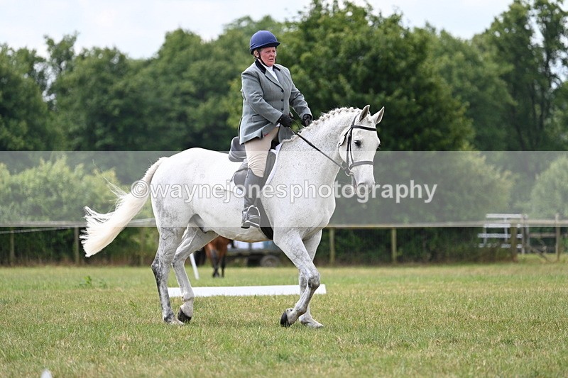 WJ7_5019 - Time 11:22 to 11:51