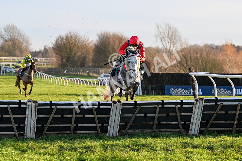 161225-Race 5-Somebodycomegether-8764 - Race 5