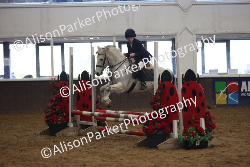 20260314-0524 - 60cm