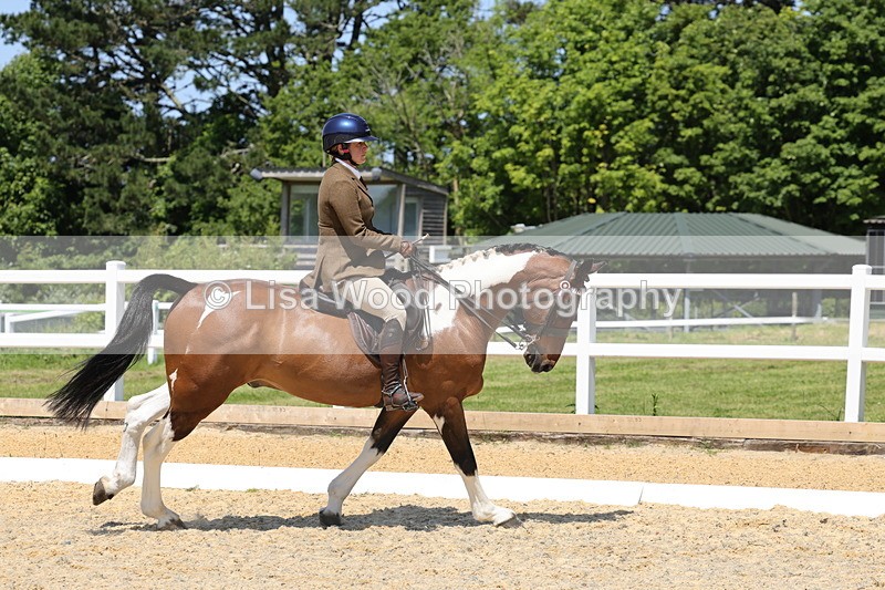 1X9A1840 - Class 12: Ridden Riding Horse/Hack
