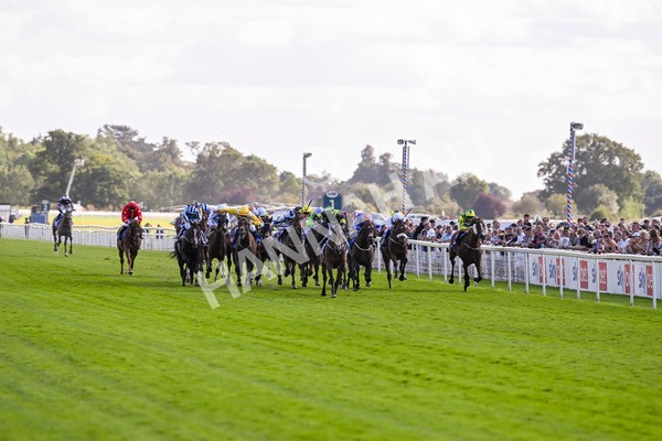 240824-Race 4-Magical Zoe-1571 - Race 4 3.35pm Sky Bet Ebor Handicap