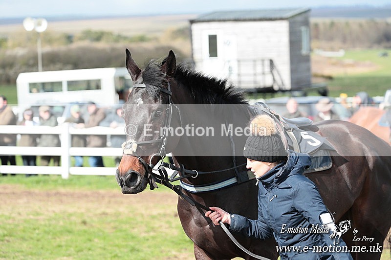 PtP 230324 310 - Tedworth Hunt PtP Larkhill Raccourse 23rd March 2024