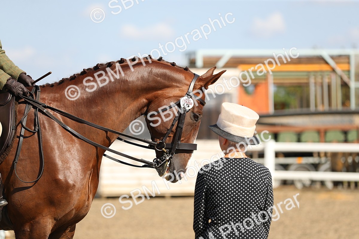 SBM_02334 - Class 43 Ridden Competition Horse/Pony