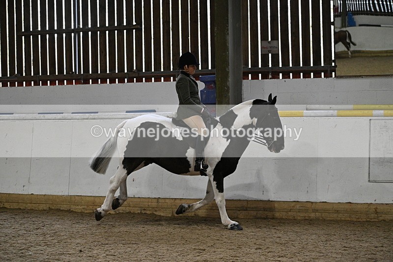 WJ7_3875 - Class 17 Ridden Cob