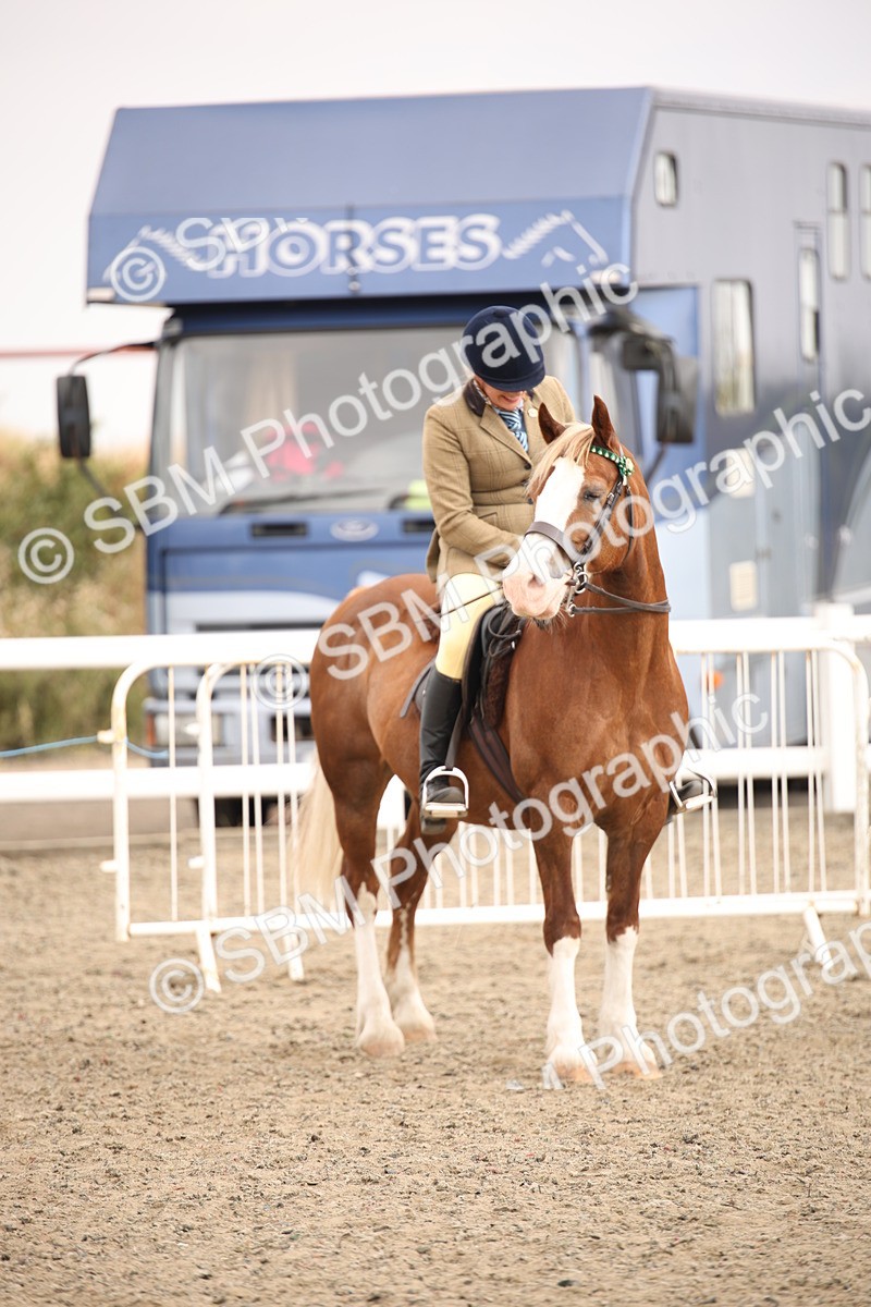 SBM_12605 - Class 405b - M&M Working Veteran 50cm 20+