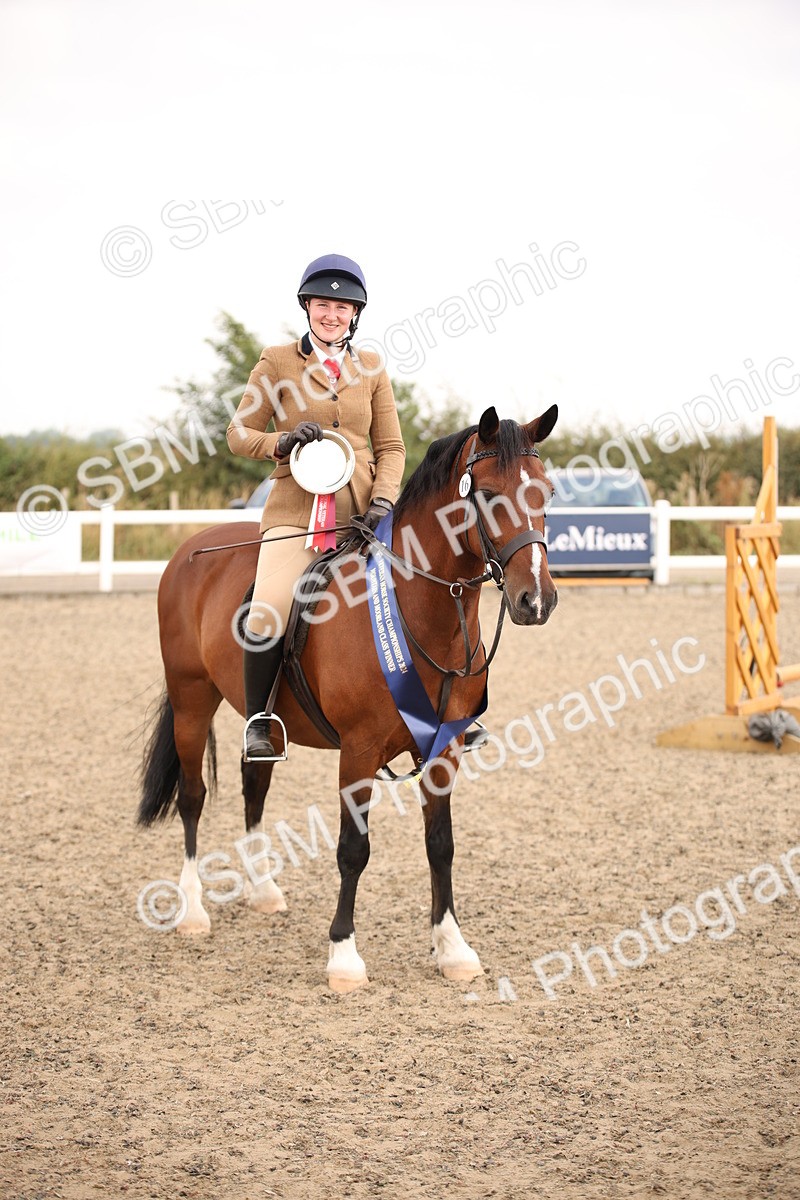 SBM_12284 - Class 405a - M&M Working Veteran 50cm (15-19)