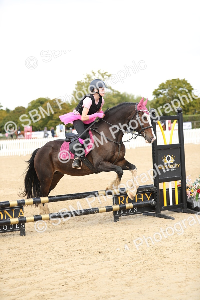 SBM_43972 - J47 - Ride and Run 60cm75cm