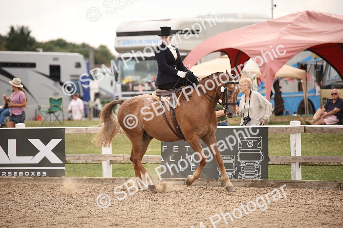 SBM_05378 - Class 22 SSA Equitation