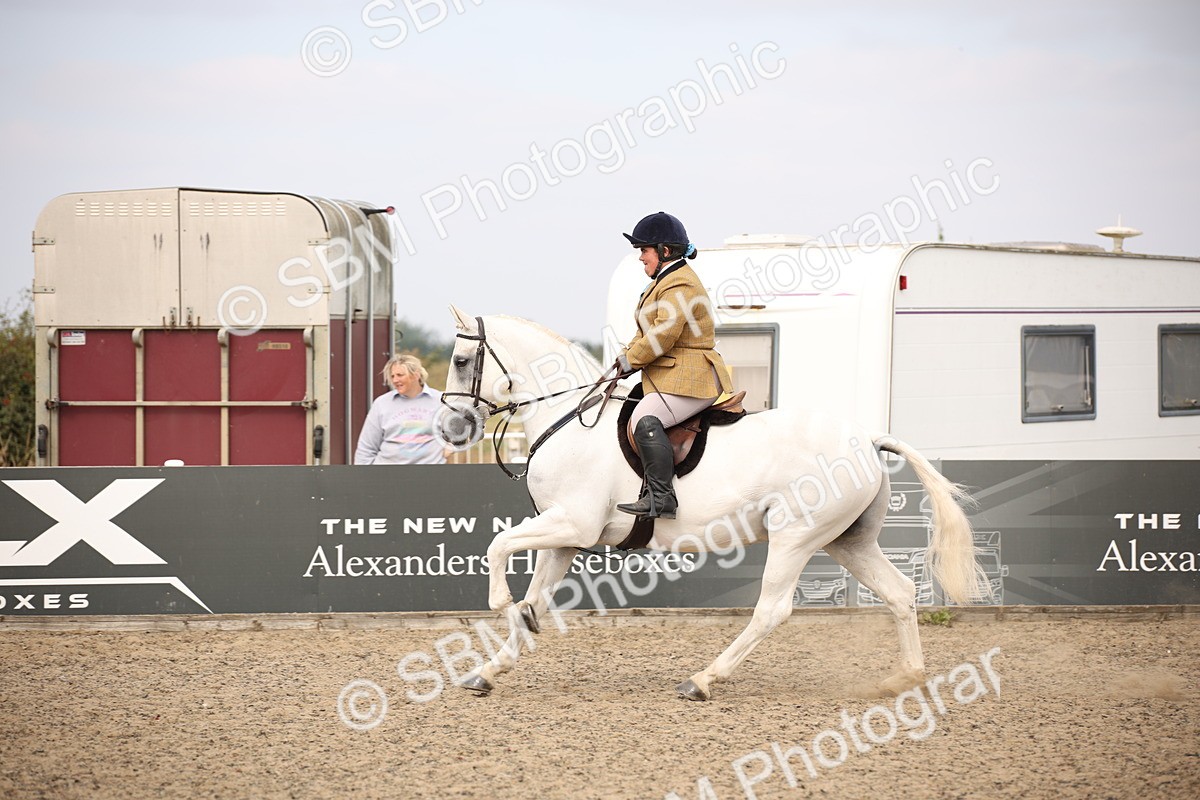 SBM_16135 - Class 409a - Working Veteran 80cm (15-19)