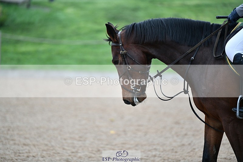 241102A-104503-04099 - SAT Cls 9 British Novice and 90cm Open