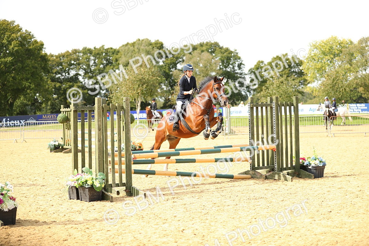 SBM_66174 - J17 - Junior Pony 80cm Championship
