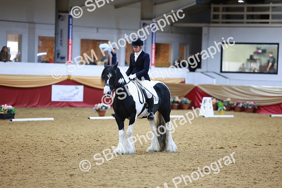 SBM_06470 - Class 61 - Dressage to Music
