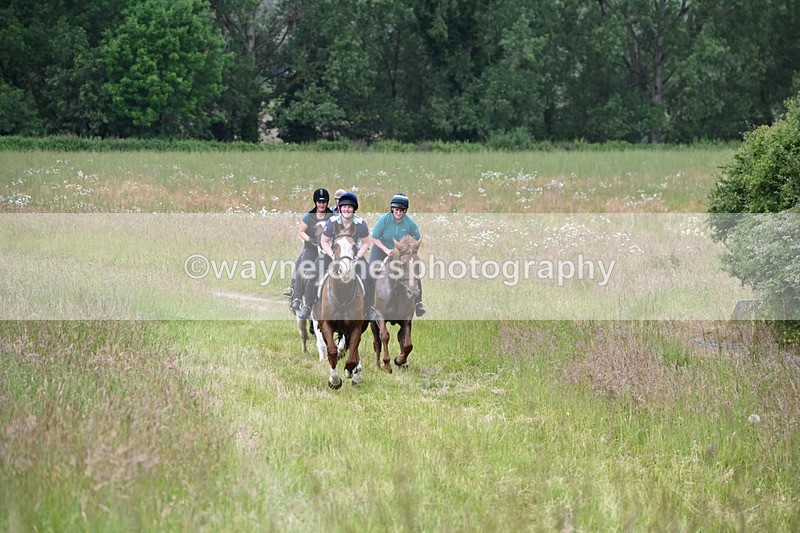 WJ6_8160 - Camera 1 Gallops