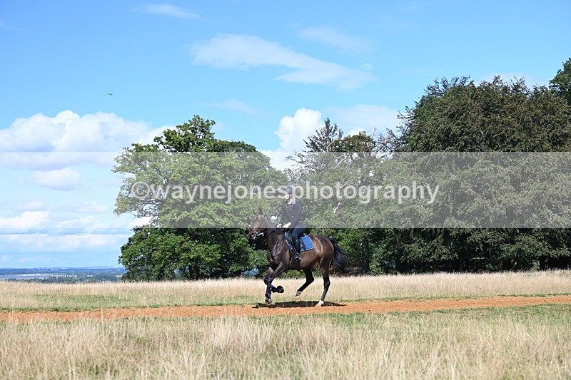 DSC_0091 - Time at Statue 15:58 to 16:05