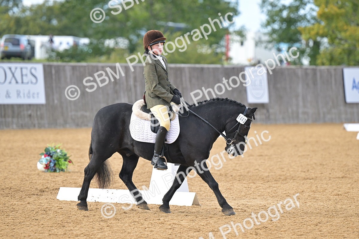 SBM_12900 - D3 - Small Tour Championship Intro 3