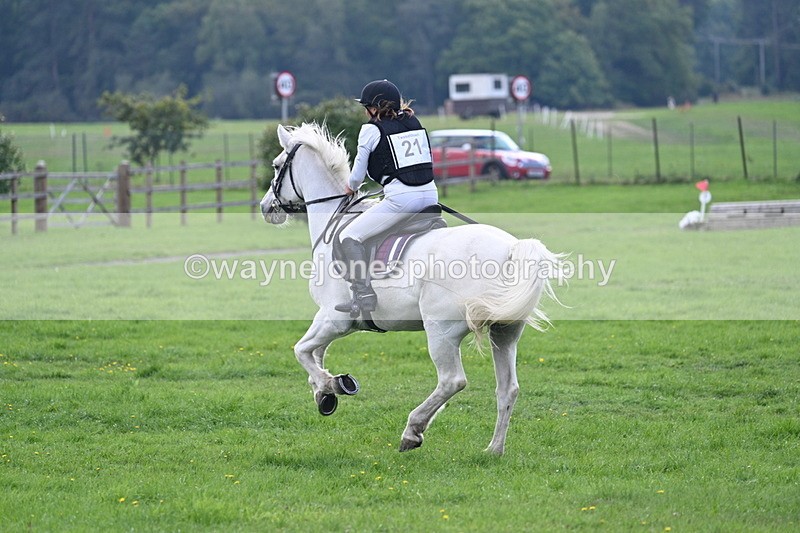 WJ7_4788 - 60cm Time 11:03 to 11:10