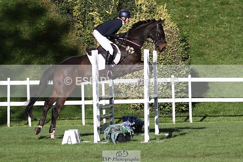 231022-105020-24779 - 603-KILBUNNY.BLUE.BIRD-Claire.Deuten-TrotUp+SJ