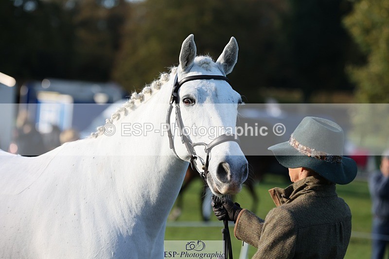 241027-092144-15235 - 385-Helen.Hickson-CEIDE.HUMPHRY