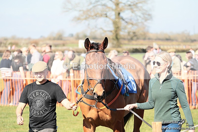 PtP 210326 25 - VWH Cirencester Races 21/03/26