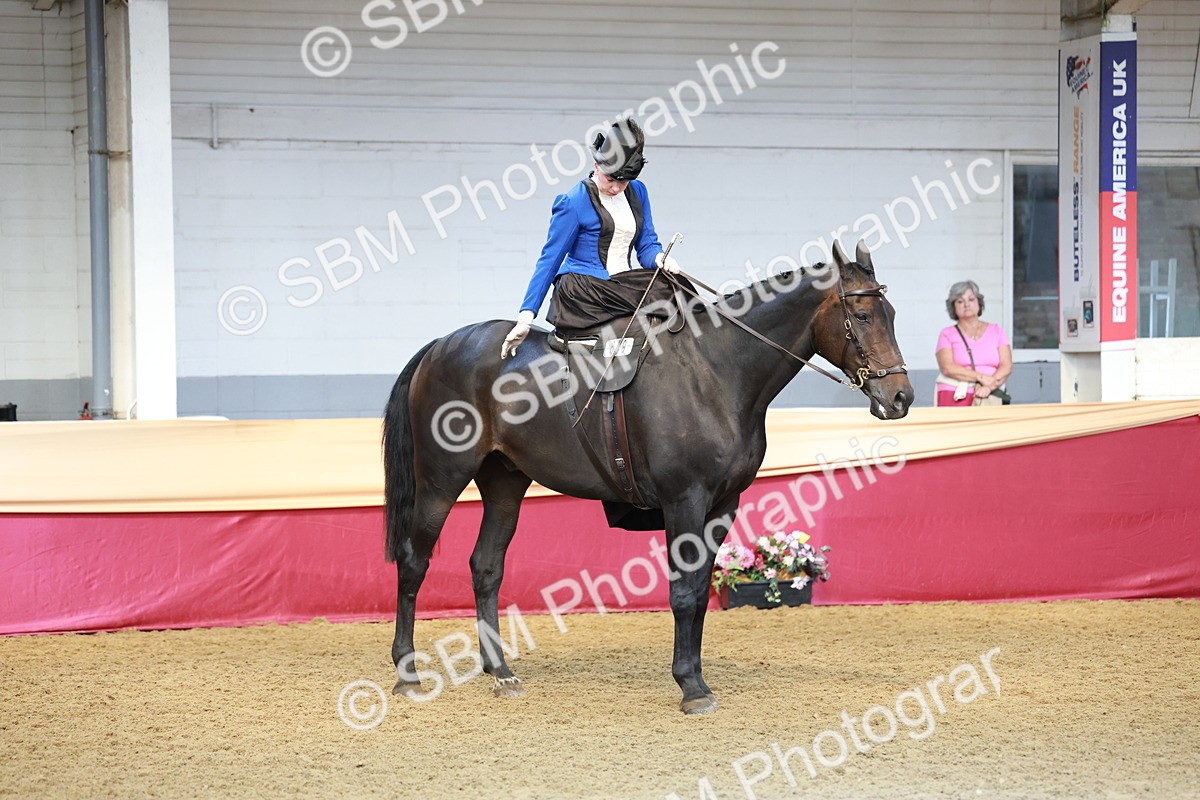 SBM_13601 - Class 105 - Ridden Costume - Side Saddle