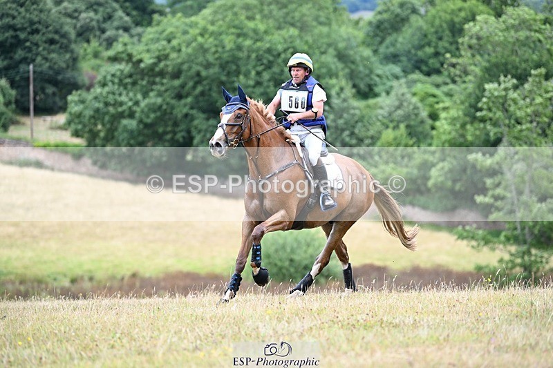 250803A-122952-13211 - M-560-Stephen.Way-BRENDONHILL.FAERIE.MAESTRO