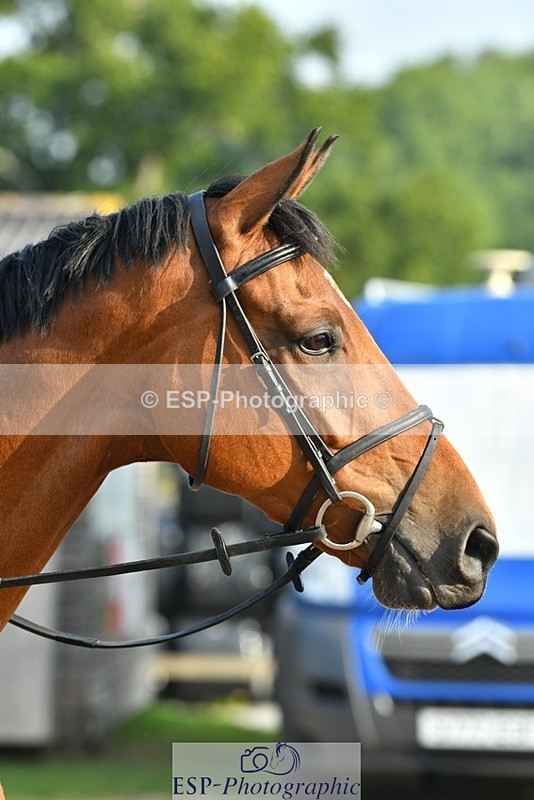 230817-083709-02435 - Stable Shots