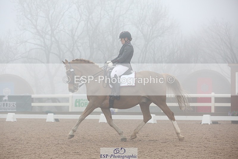 240217A-125632-02995 - 103-Ruth.Saunders-Dizzy.Rascal.VII