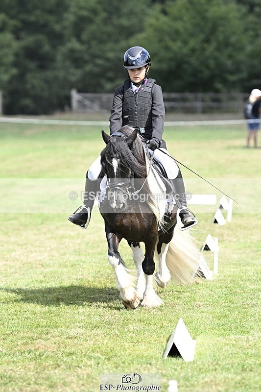 250821A-114231-15290 - DR 11.00 to 12.00