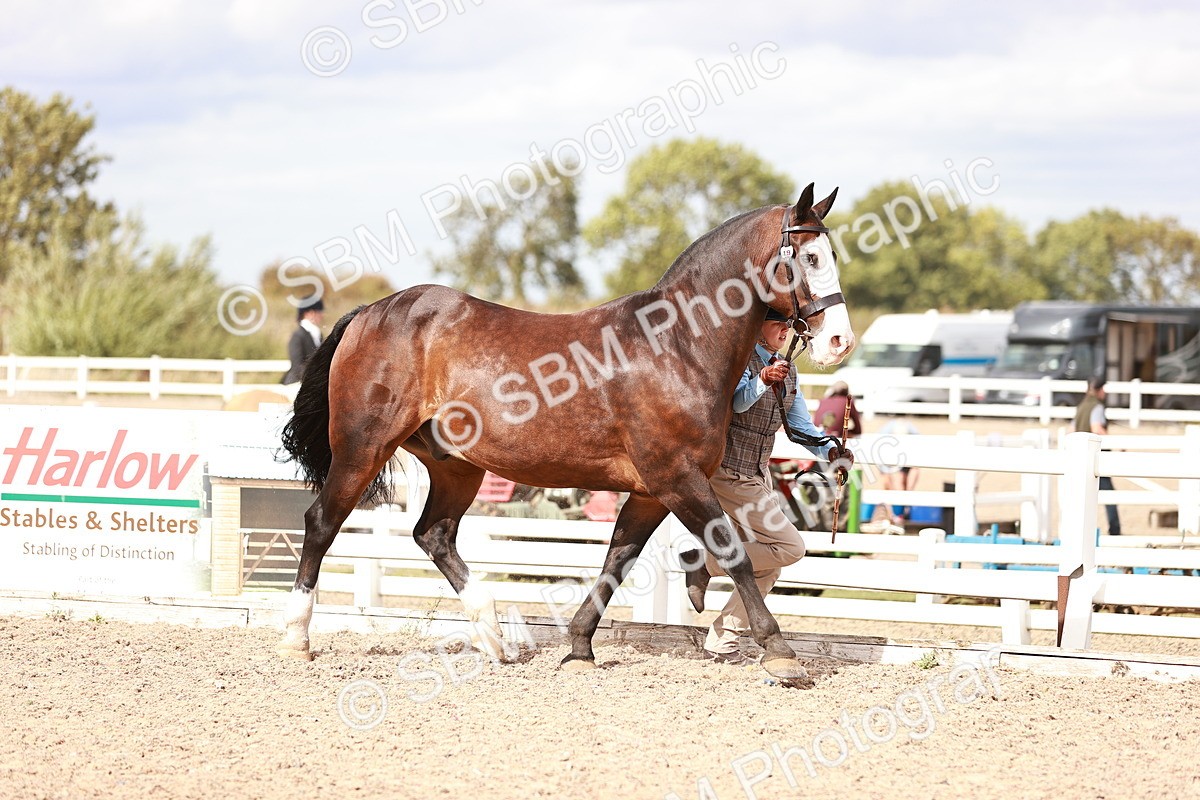 SBM_18374 - Class 418 - Best Condition - Jnr