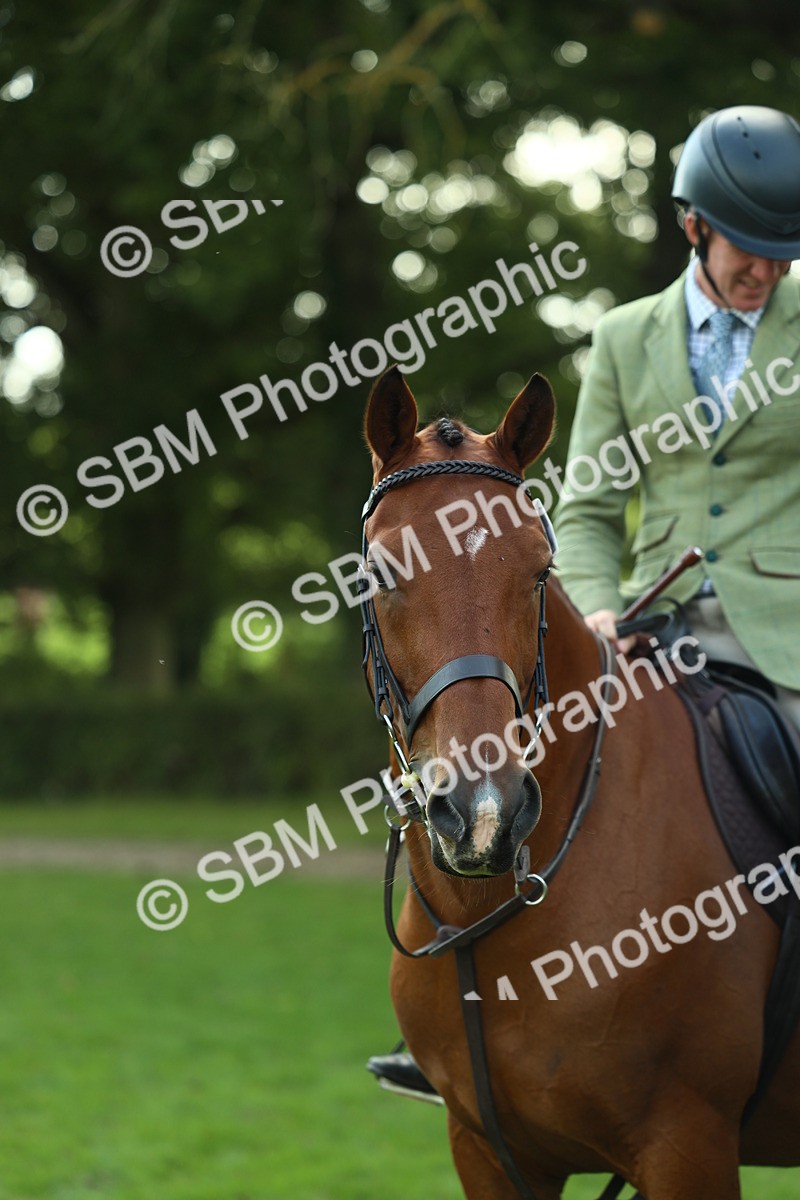 SBM_50737 - S33 - Working Hunter & Working Show Horse
