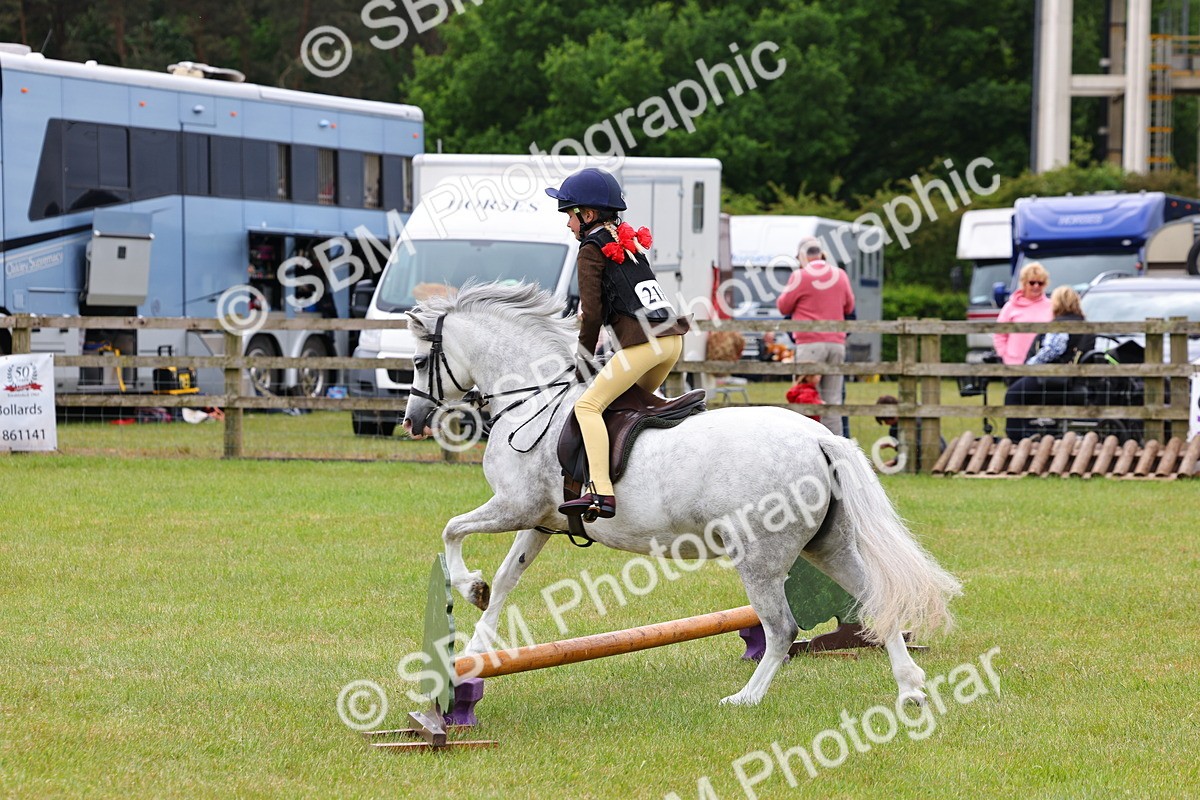 SBM_08624 - Class 42-43 - LIHS BSPS Heritage Working Sports Pony
